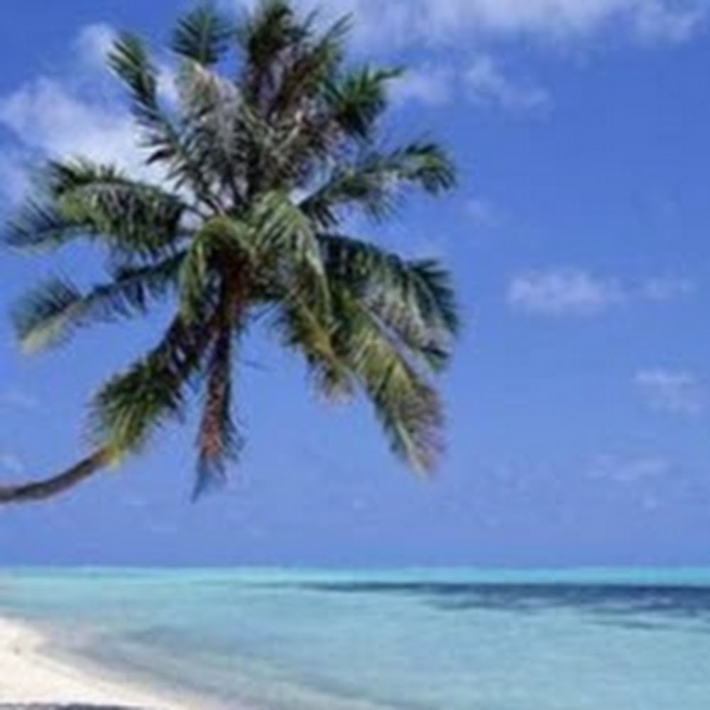 Meet your Posher, Kaki